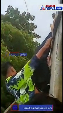 ஹீரோயிசத்திற்காக வௌவால்களாக மாறும் புள்ளிங்கோ இளைஞர்கள்: பயணிகள் அச்சம்