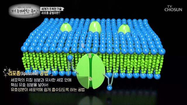 암을 이겨낸 주인공의 면역 관리 비결 『리포즘 공법 비타민C』 TV CHOSUN 20220929 방송