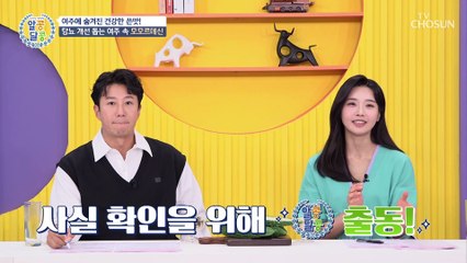 혈액 속 혈당과 혈압 저하에 도움을 주는 효자템 TV CHOSUN 20220929 방송