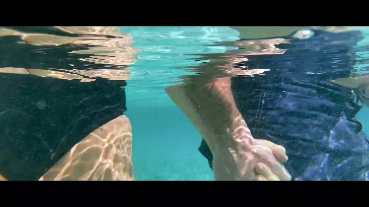 Fuego - Tráiler oficial español -