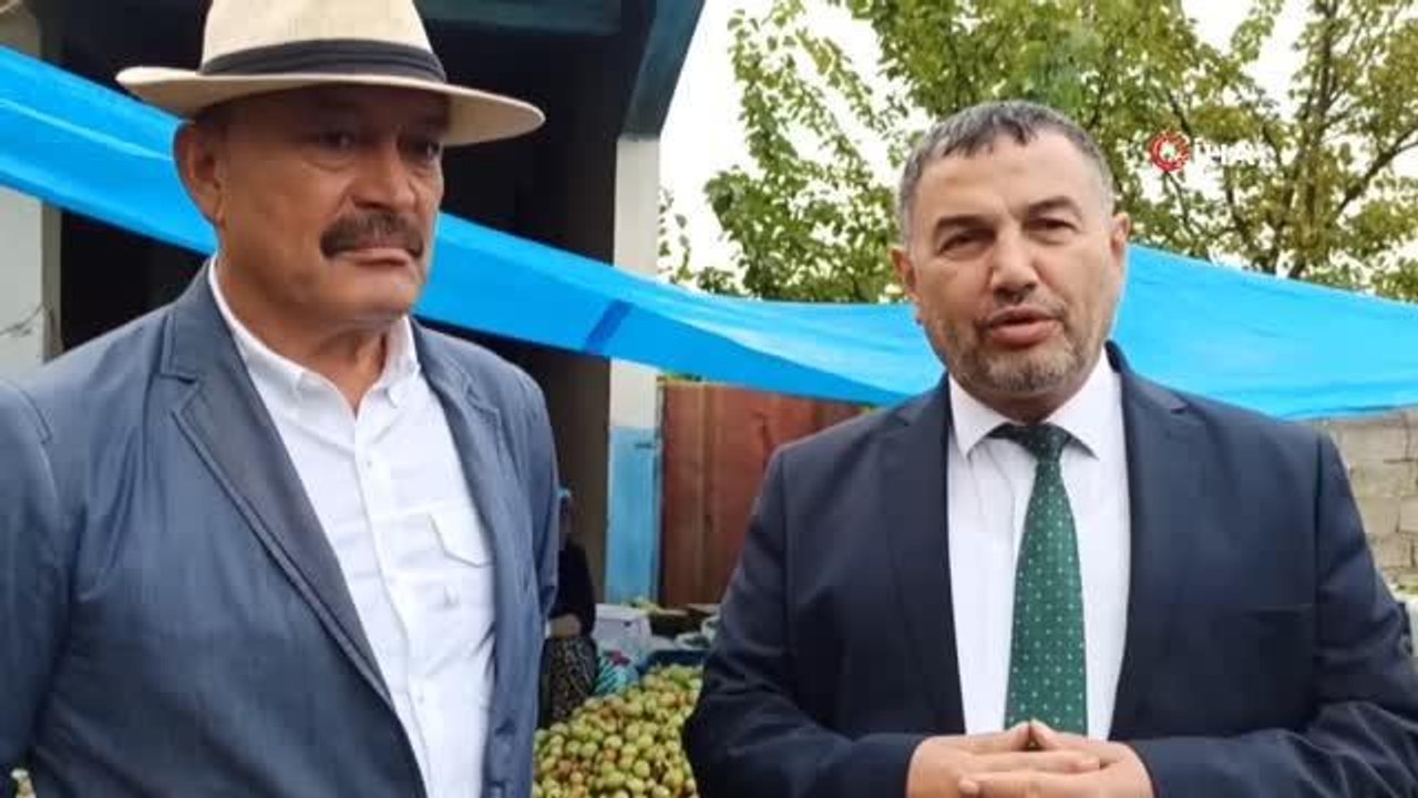Zonguldak ekonomi: Devrek'te ceviz hasadı: 7 ton ceviz toplandı
