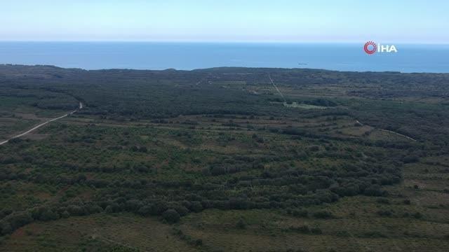 Sinop gündem haberi: Cumhurbaşkanı'nın işaret ettiği Sinop NGS bölgesi böyle görüntülendi