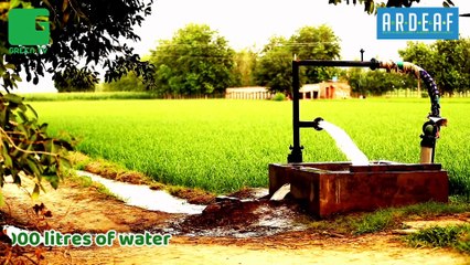Rice Production and Climate Change || Rice Could Emerge As The Next Challenge For Global Food Supply