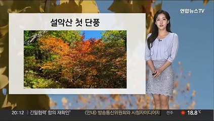 [날씨] 내륙 짙은 안개 유의…내일 중서부 미세먼지