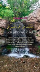 Mereka bertanya kepadamu (Nabi Muhammad) tentang khamar dan judi | QS. Al-Baqarah : 219