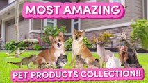 AMAZING PET GADGETS AND ACCESSORIES COLLECTION YOU HAVE NEVER SEEN!!