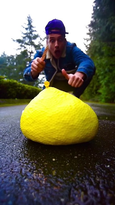 RAINBOW FISH ASMR  relaxing asmr satisfying shorts asmrsounds asmrsounds davidbeck fyp