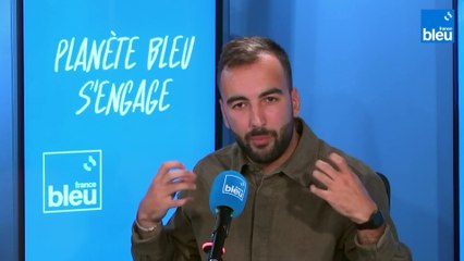 Alexandre-Reza Kokabi ému et en colère : "Les fous de Bassan" sont décimés à cause de la grippe aviaire”