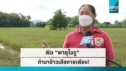 พิษ "พายุโนรู" ทำนาข้าวเสียหายเพียบ!|เข้มข่าวค่ำ |29 ก.ย. 65