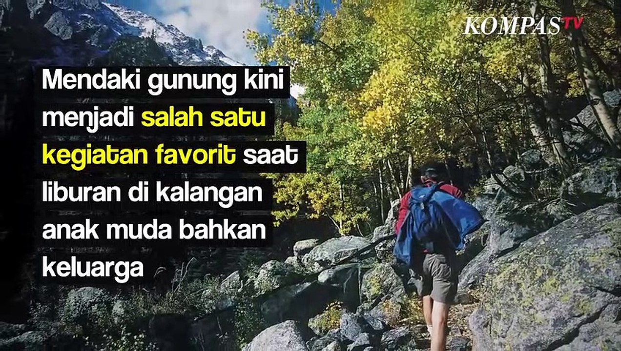 Ketemu Babi Hutan Pas Naik Gunung? Tenang, Ini Tips Mengatasinya