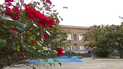 Messina, totoassessori e partecipate: in corsa Luciano Taranto