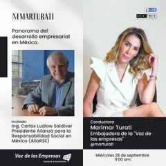 Pláticas con la Turati: Panorama del desarrollo empresarial en México.
