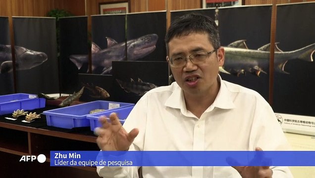 Fósseis de peixes achados na China esclarecem evolução do ser humano