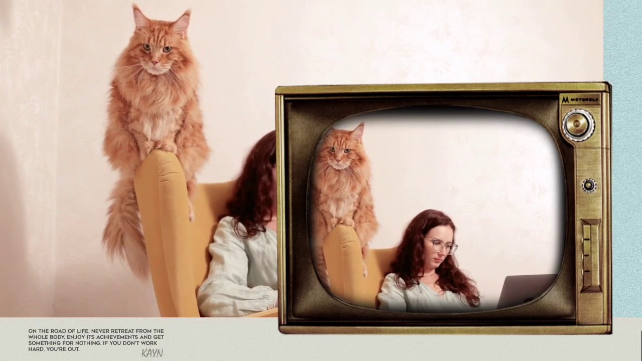 Watch and laugh Funny CAT video that will make...