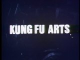 Kung Fu Arts 1978 | Martial Arts Movie | DocFilm