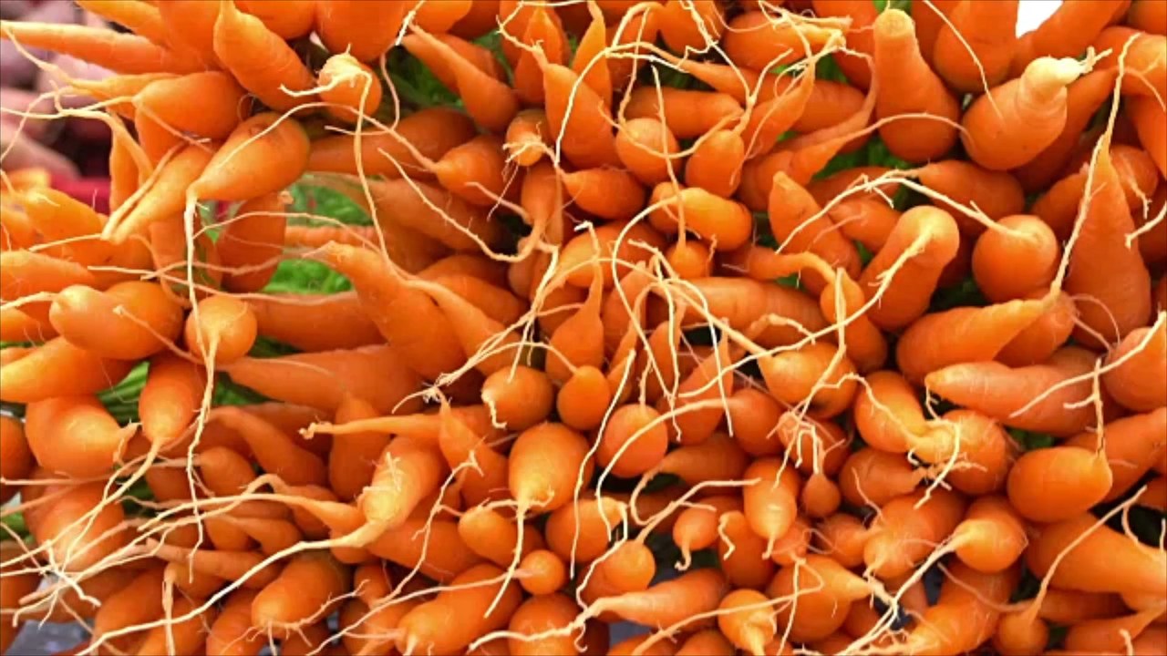 Faktencheck: Verbessern Karotten wirklich unsere Sehkraft?