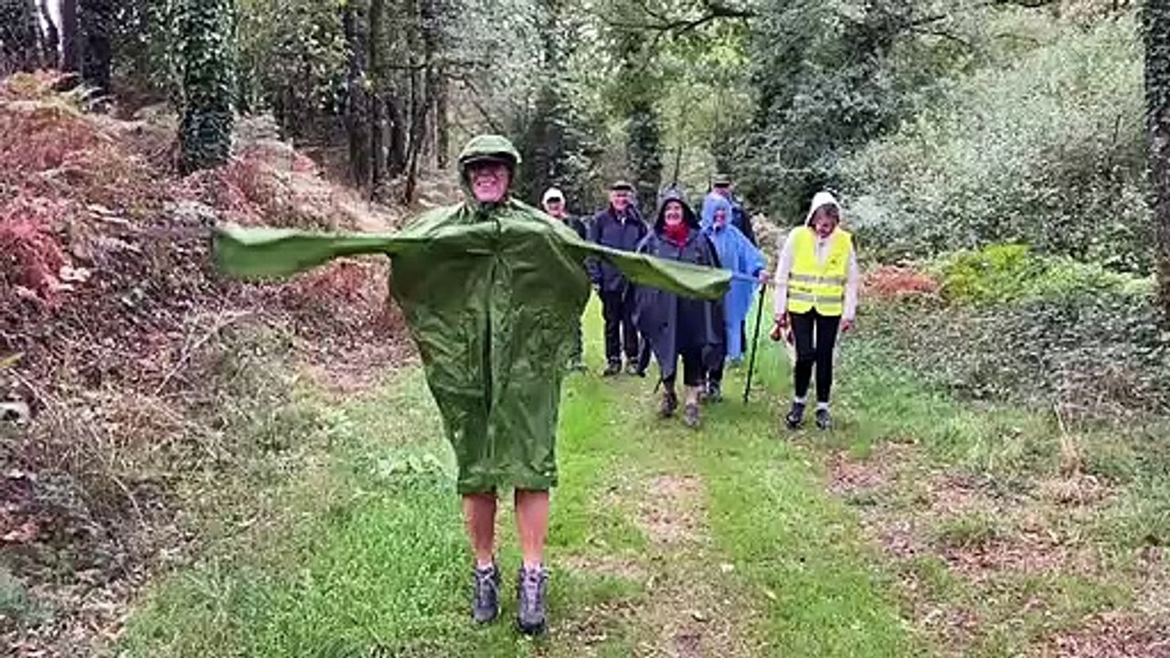 Dans la Forêt de Caden