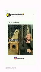 Girls vs boys in Zoo 