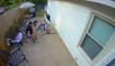 Man's Hilarious Fall From Hammock is Caught on Security Camera