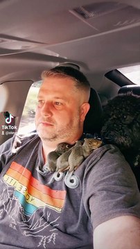 Baby Squirrels Rescued After Losing Their Home
