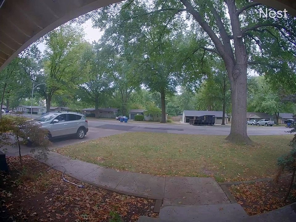 Doorbell Cam Catches Car's Close Call With Falling Tree Limb