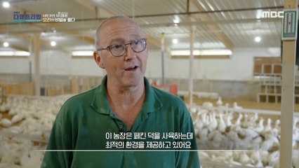 [HOT] see the history of duck meat on a duck farm, MBC 다큐프라임 220925