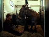 EO new clip official from Cannes Film Festival 2022