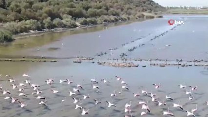 Jandarma ekipleri Bafa Gölü'nde kontrollerini sürdürüyor