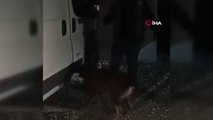 Adana haberleri! Ceyhan'da uyuşturucu operasyonu: 45 kilogram esrar ele geçirildi
