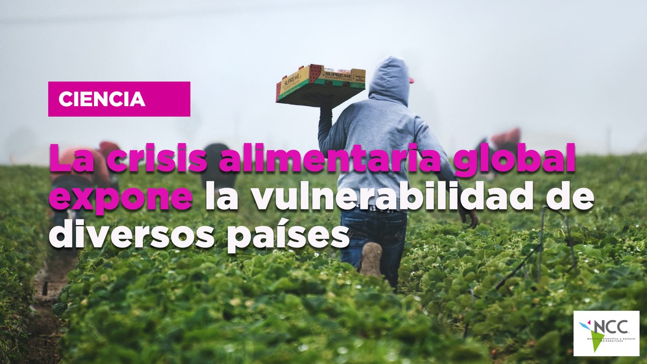 La crisis alimentaria global expone la vulnerabilidad de diversos países