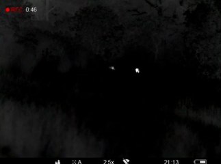 Des loups filmés à la Penne-sur-Huveaune près de Marseille