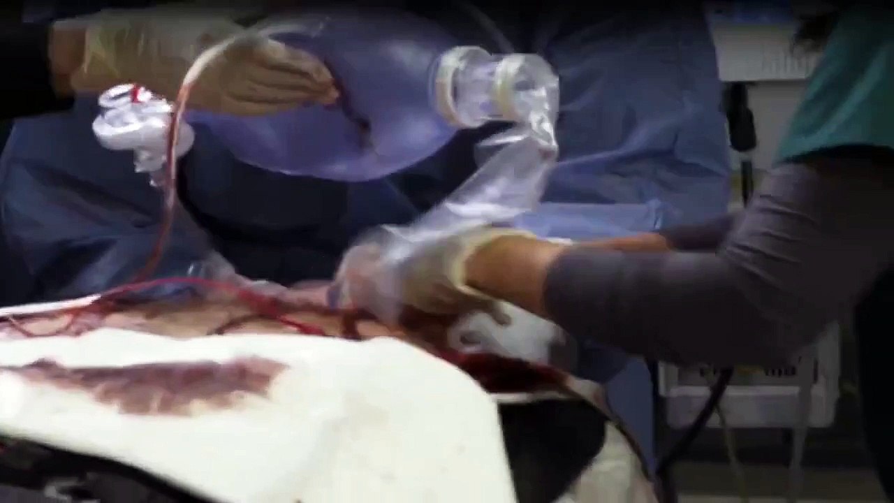 Mob Doctor Staffel 1 Folge 13 HD Deutsch