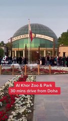 Al Khor Zoo & Park Qatar | Must-See Place to Visit With Kids