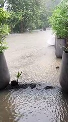 Des intempéries au François provoquent des inondations