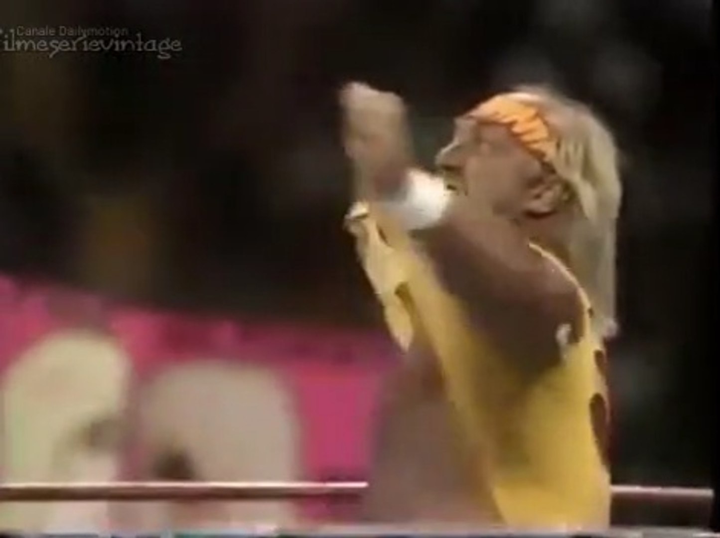 Hulk Hogan vs Ultimate Warrior Full Match (1991) Wrestlemania - Video  Dailymotion