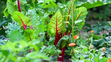 Westminster Abbey.Behind Closed Doors S01E02
