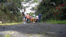 Esta sábado tiene una cita en San MIguel de Turrúcares- una caminata con su mascota a la Cruz qn-Esta sábado tiene una cita en San MIguel de Turrúcares- una caminata con su mascota a la Cruz -270922