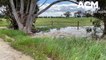 Greater Bendigo flooding in paddocks | September 30, 2022 | Bendigo Advertiser