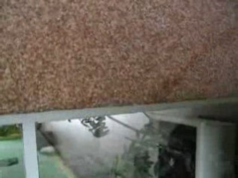 calcul d'algorithme de horner 9999