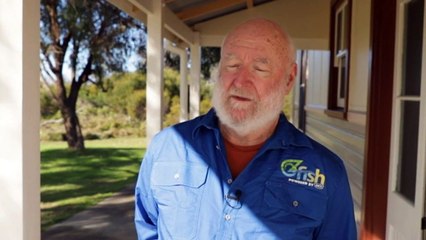 Volunteers drive Australia's largest seagrass restoration