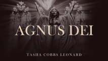 Tasha Cobbs Leonard - Agnus Dei (Audio / Live At Greenwood Oasis, Chicago, IL / June 3, 2022)