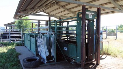Emerald Farms, Emerald, Qld - September 30, 2022 - Farmonline