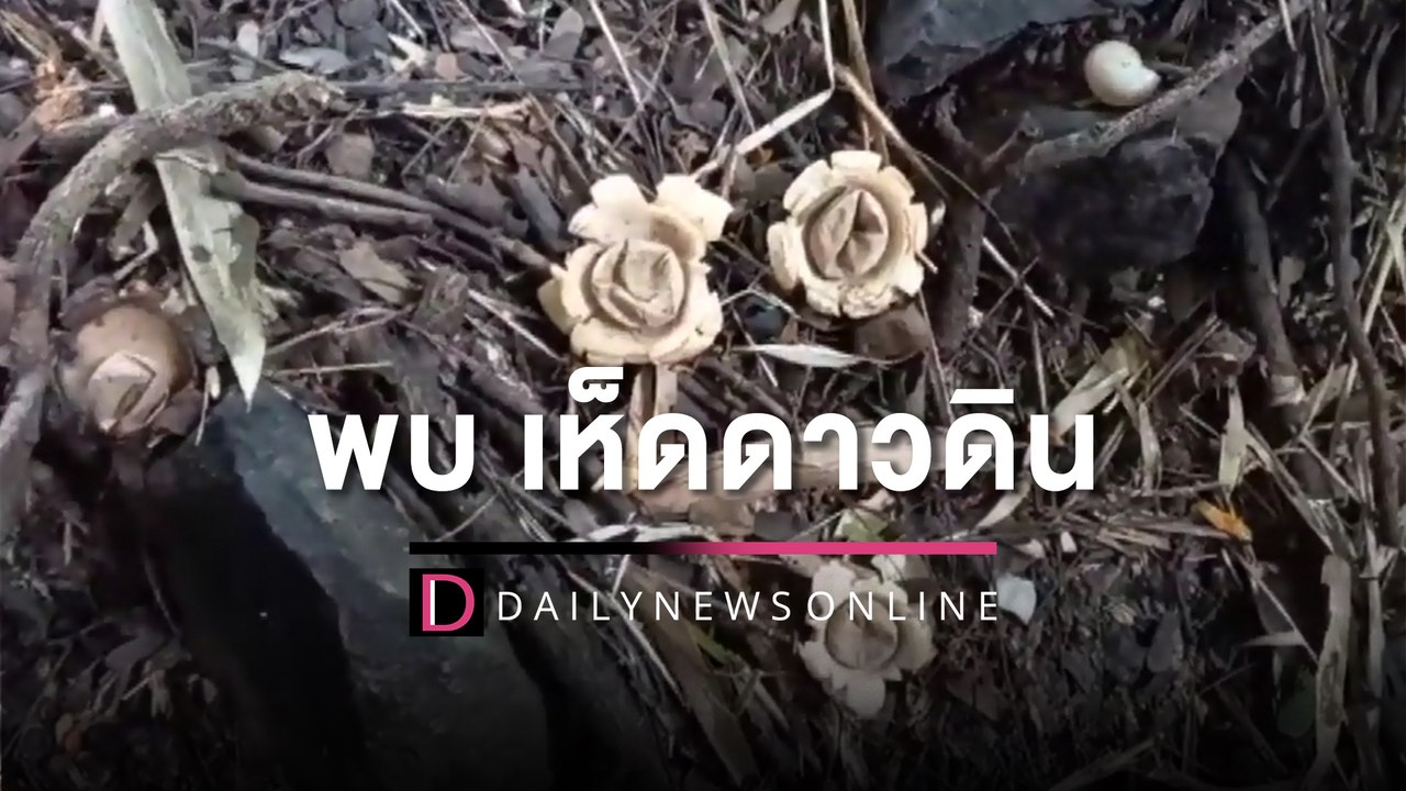ชาวบ้านเชื่อพบ ‘เห็ดดาวดิน’ หายาก 1 ใน 10 ของโล...
