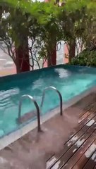 Today In Mexico got hit by a 7.1 earthquake  19-09-2022