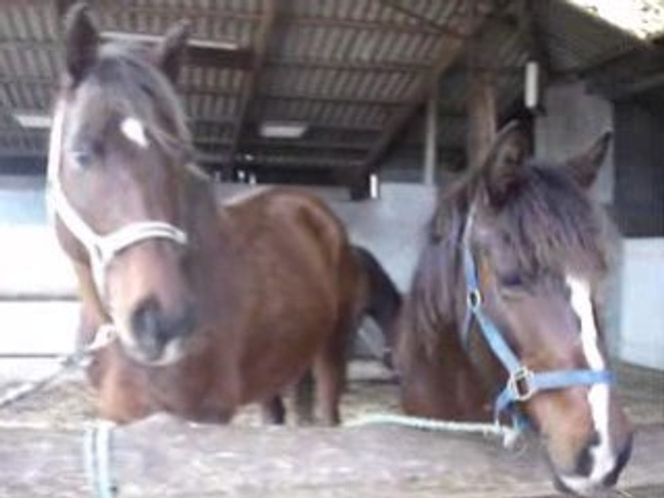 Kaouette et Limonade