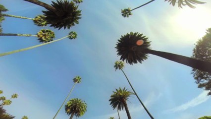 Palm tree extinction: You might have to say goodbye to your favorite chocolates and ice creams
