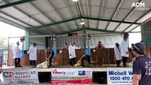 Walbundrie Show 2022 Sheep Shearing Competition - October 3, 2022 - The Border Mail