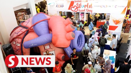 Gaining insight into cardiovascular health