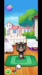 Talking Tom  funny cat  videos