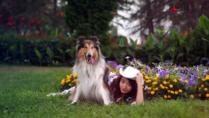 The 10 Most Easily Disciplined Dog Breeds